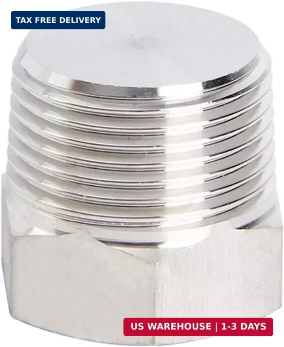 Joywayus 4Pcs Stainless Steel Outer Hex Thread Socket Pipe Plug Fitting 1/4" NPT
