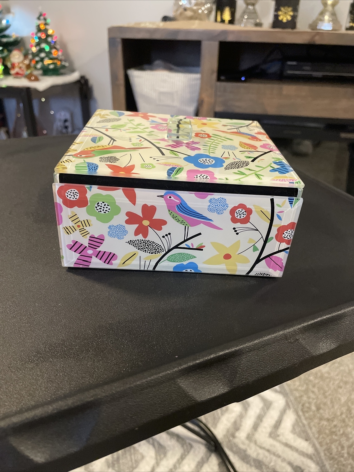Acrylic Bird box