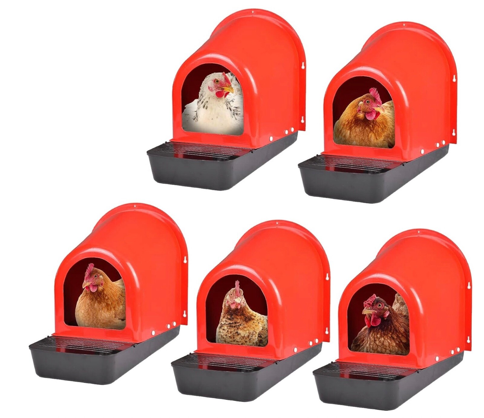 5x Single Hanging Chicken Hen Nesting Box NestBox