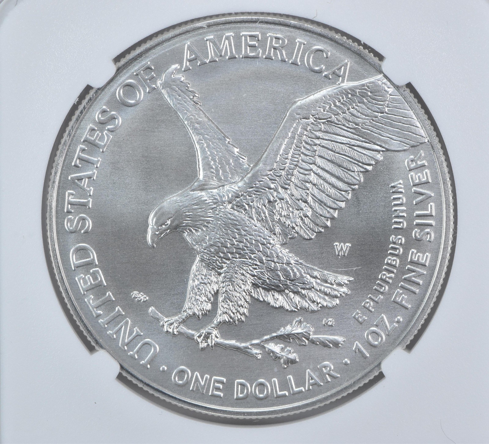 2024-W Burnished Silver Eagle MS70 NGC Brown Label