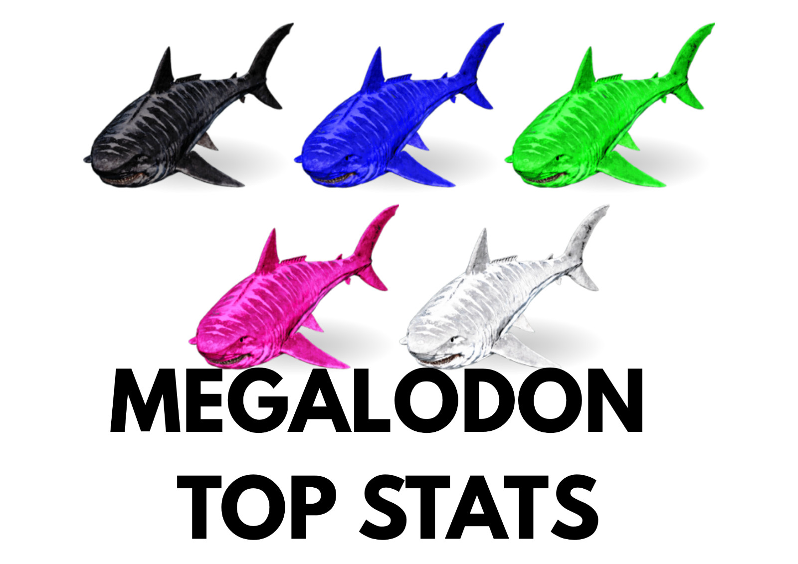 Megalodon TOP STATS Ark Survival Ascended Official PVE