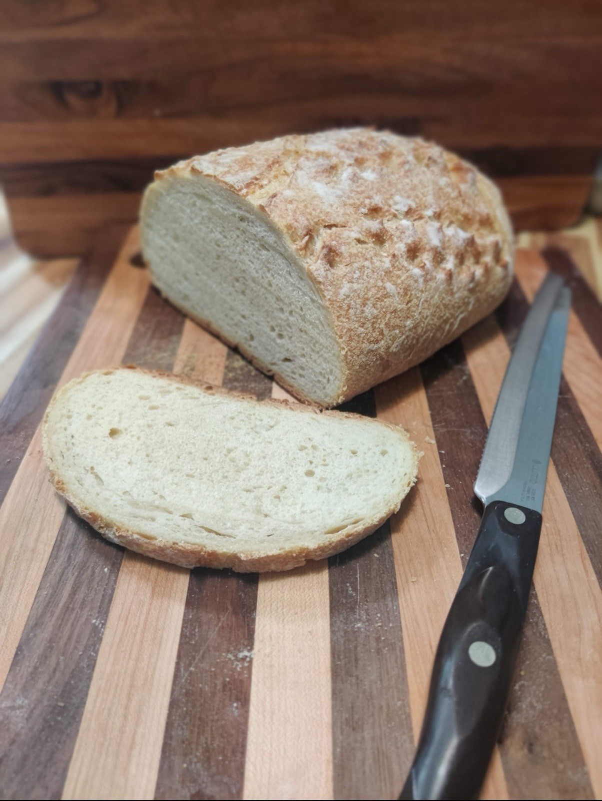 Infinity Dehydrated Sourdough
