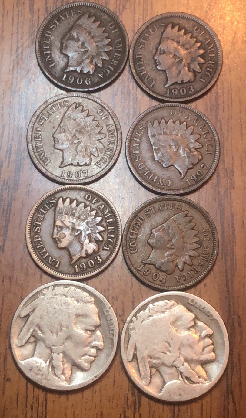 Indian Head 1906,1903X2,1907X2,1904 & 2-Buffalo Nicke Get (8) Exact Coins N221
