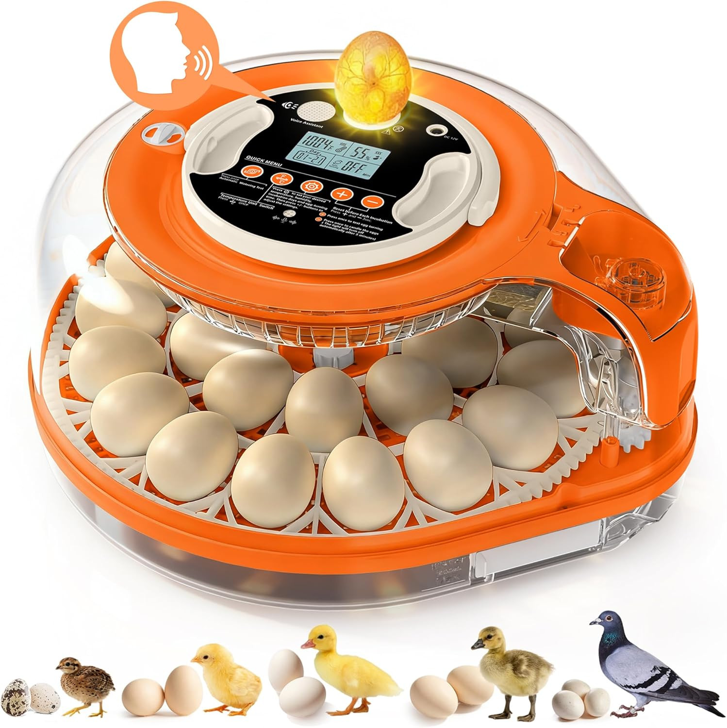 26 Incubators for Hatching Eggs Smart Voice Control Incubator with Auto Temp Hum