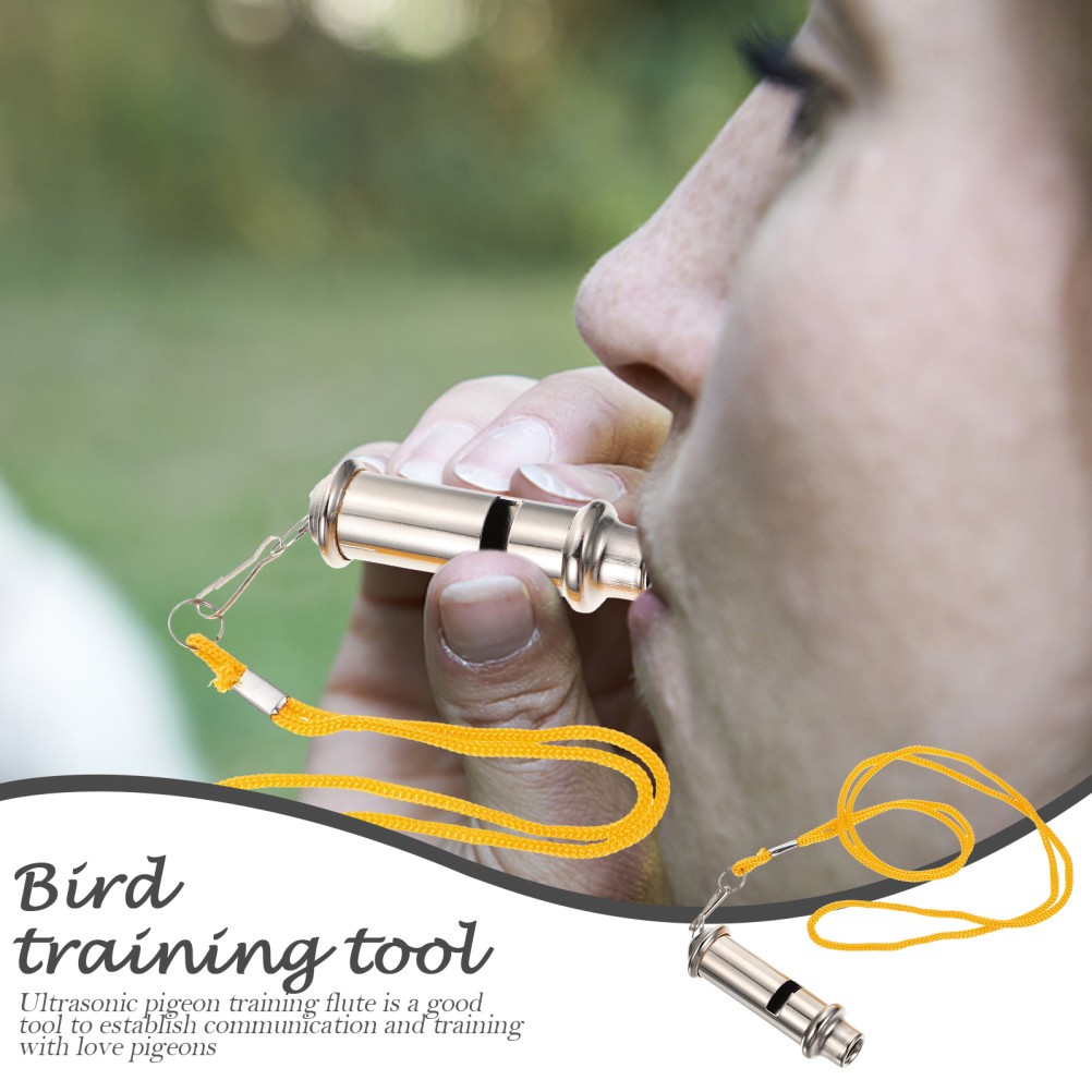 Bird Training Whistle Pet Training Gadget Pigeon Supply (Silver)