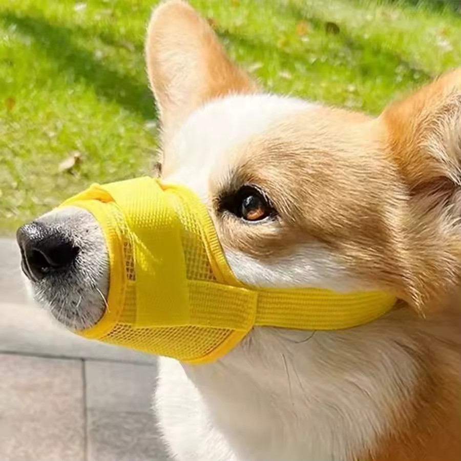 Dog Mesh Muzzle Adjustable Strap Multiple Sizes