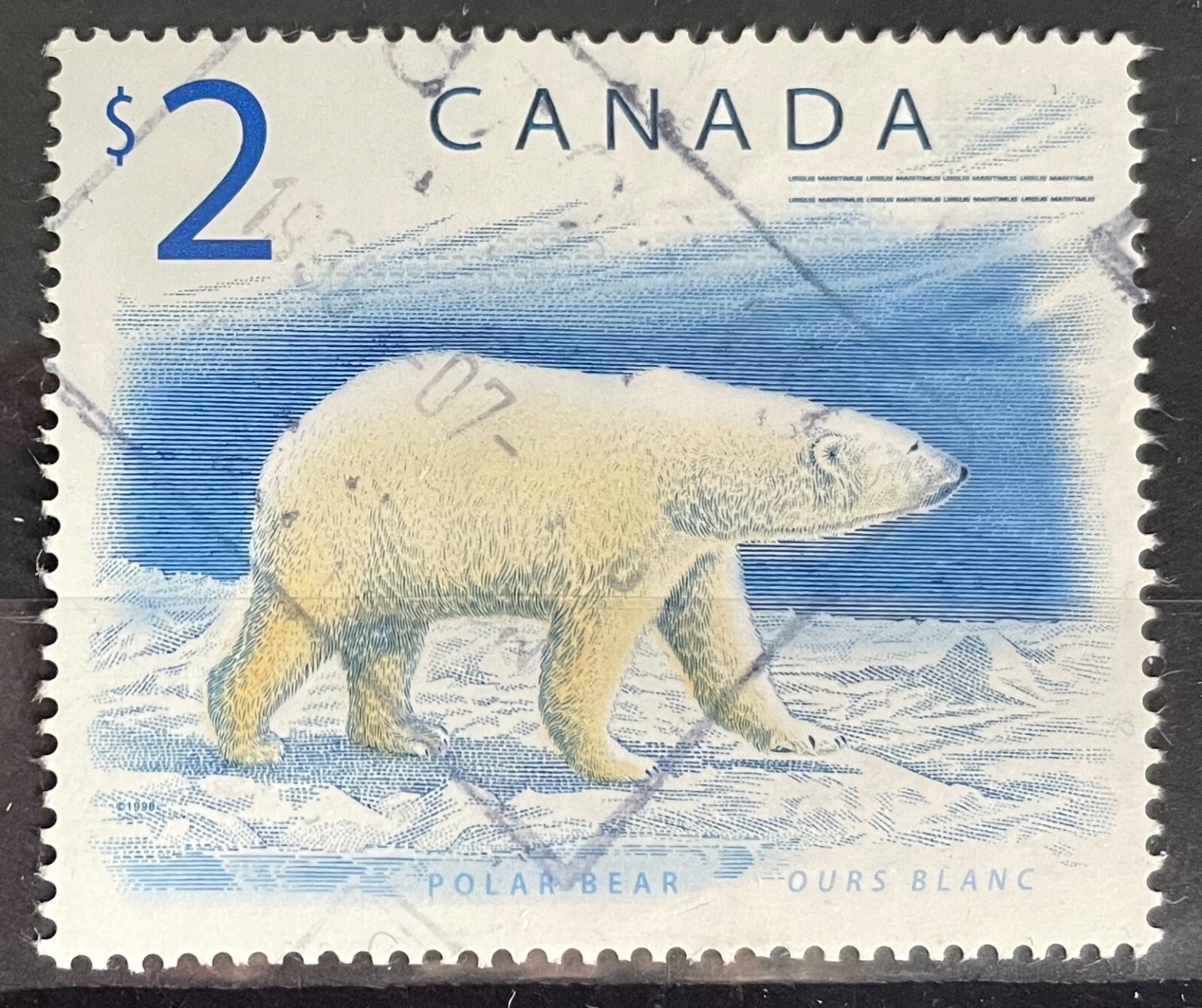 CANADA 1998 $2 Polar Bear used