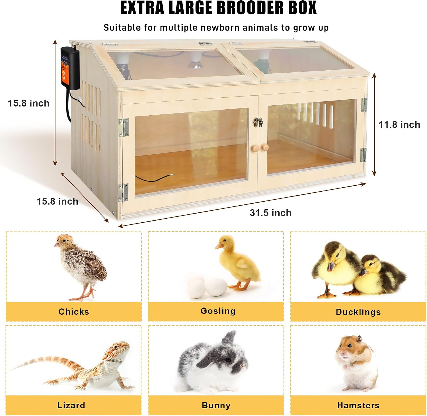 Intelligent Chicken Brooder Box for Chick with Digital Thermostat, 32" Wide Larg
