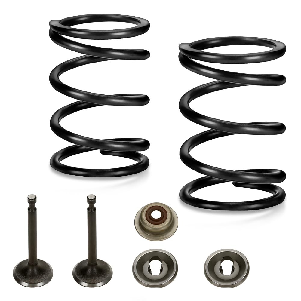 Racing 18lb Valve Springs Kit for Predator 196cc 212cc 224cc Non Hemi GX160 G...