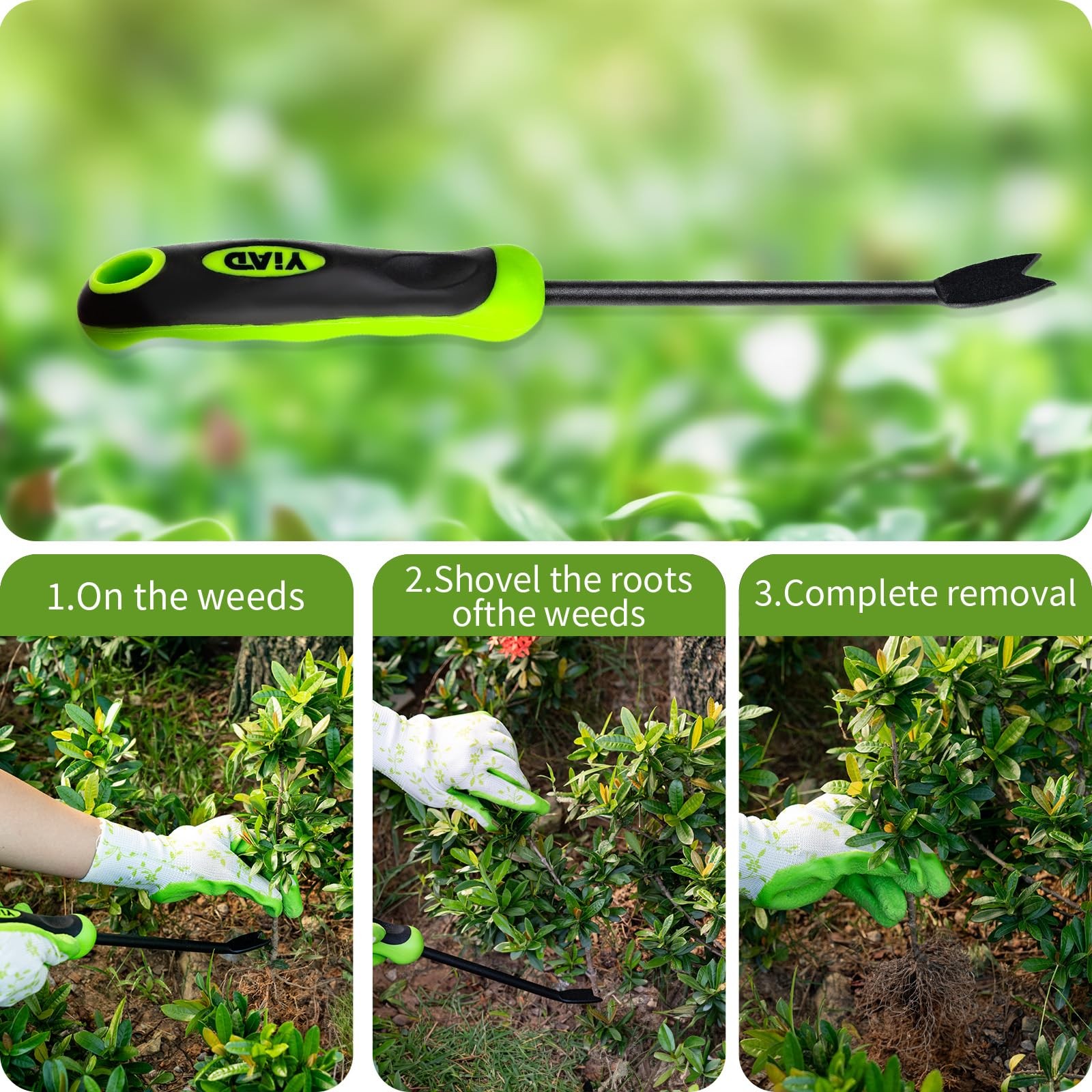 YIAD DRAGON HORSE Dandelion Weed Puller Tool, Tool with green
