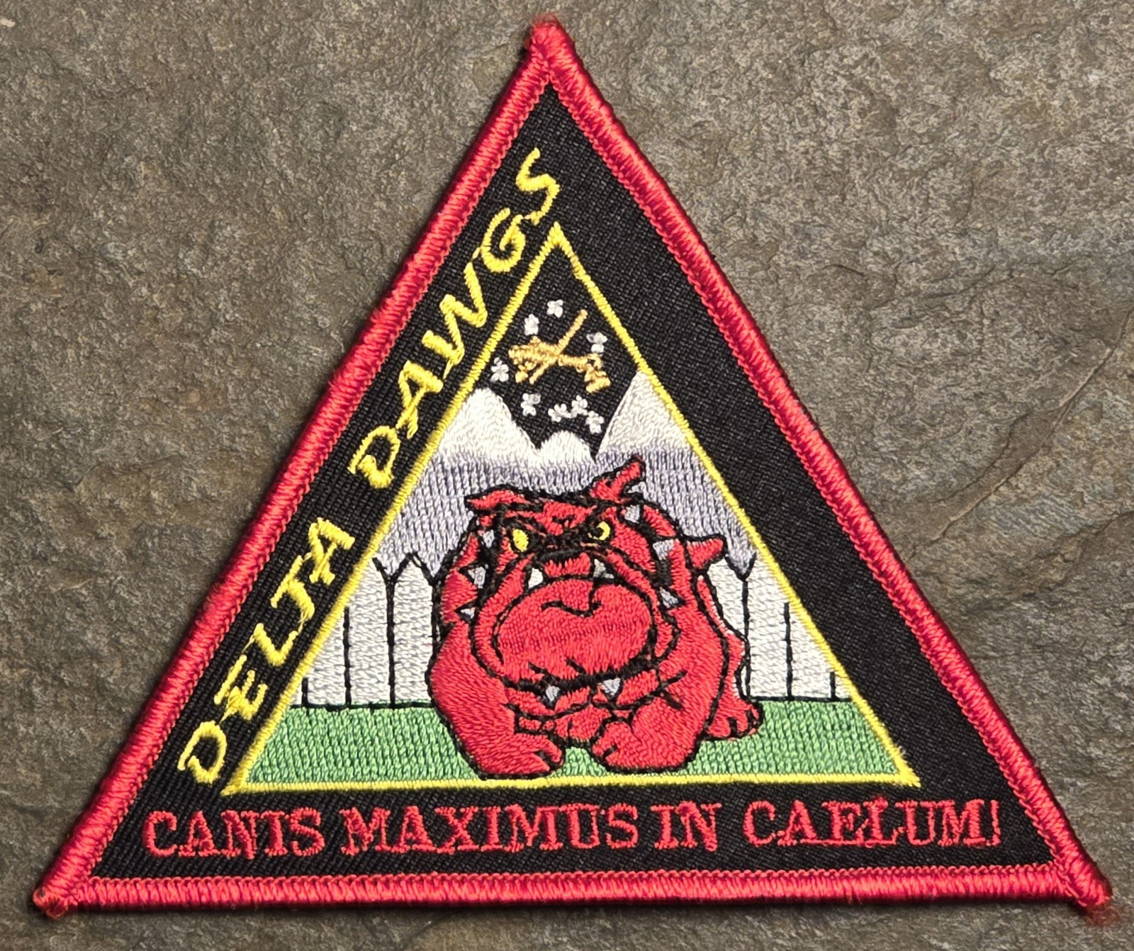 Delta Dawgs Color Patch w/Hook Loop Back Back Canis Maximus In Caelum Military