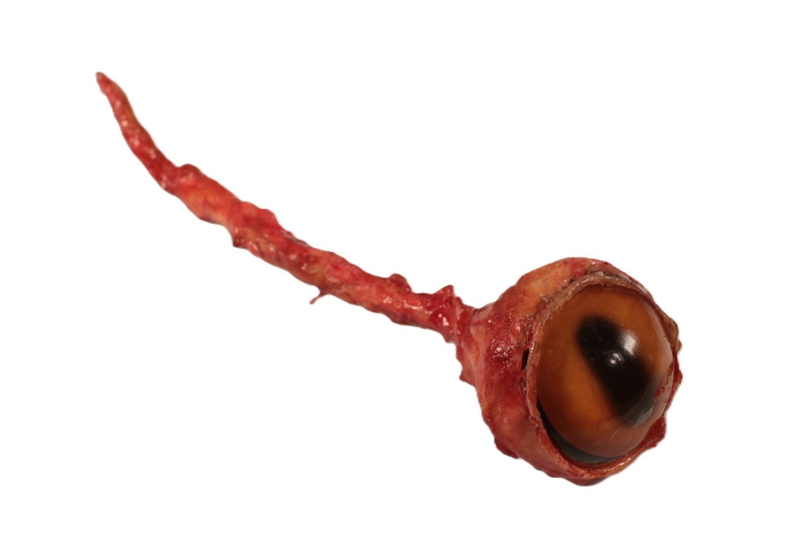 Dave's Barbequed Missing Glass Eyeball
