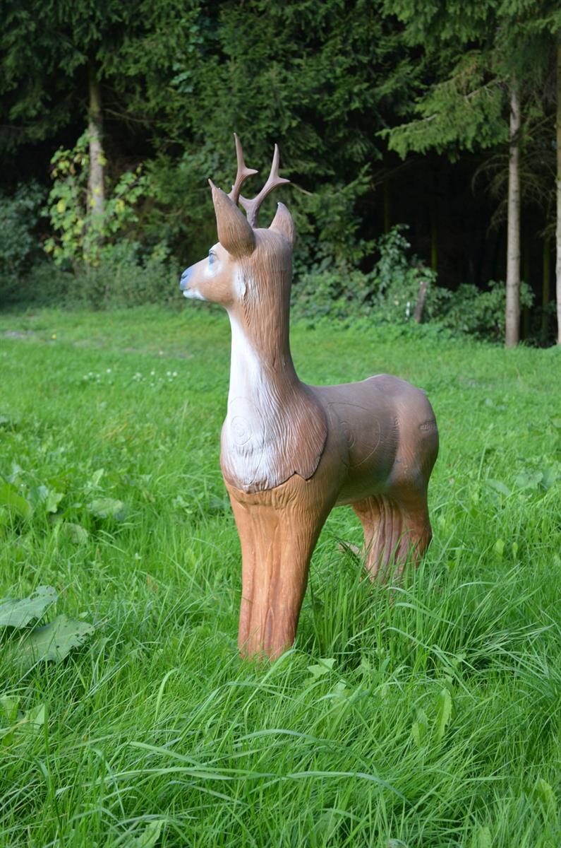 3D Animal LongLife Roebuck