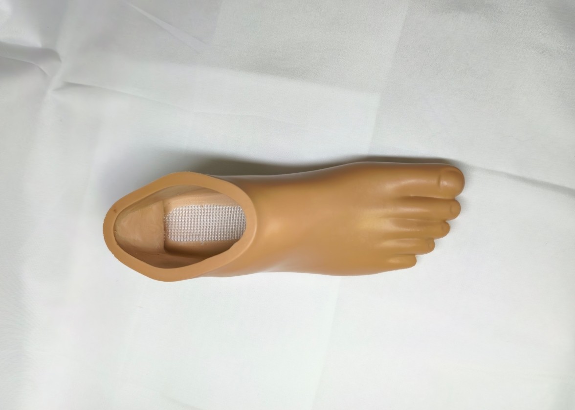 Universal Prosthetic Foot Shell for All Brands | Size 22–29 | Easy Fit Cover