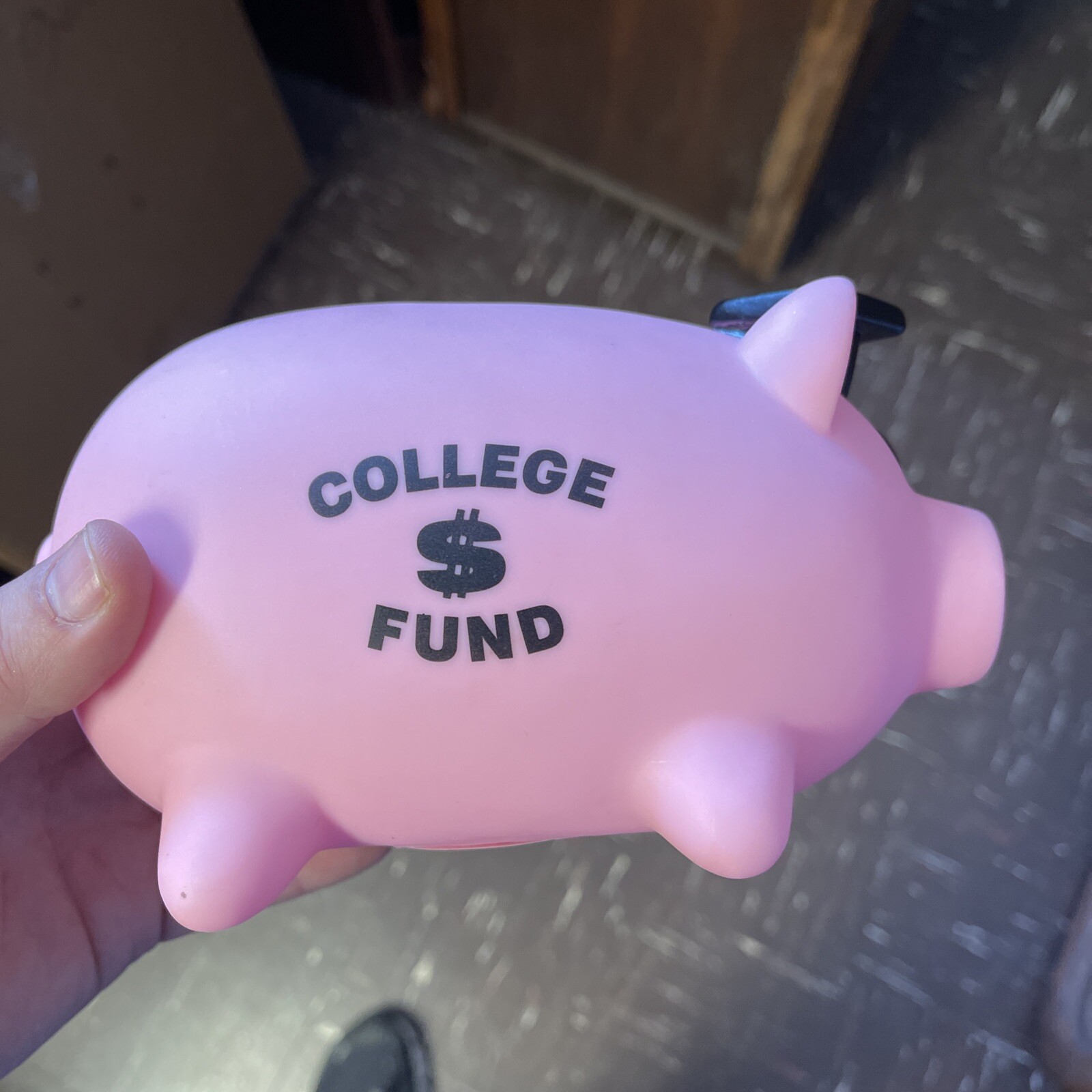 College Fund Pig Piggy Bank Graduation Gift Plastic Resin Pink