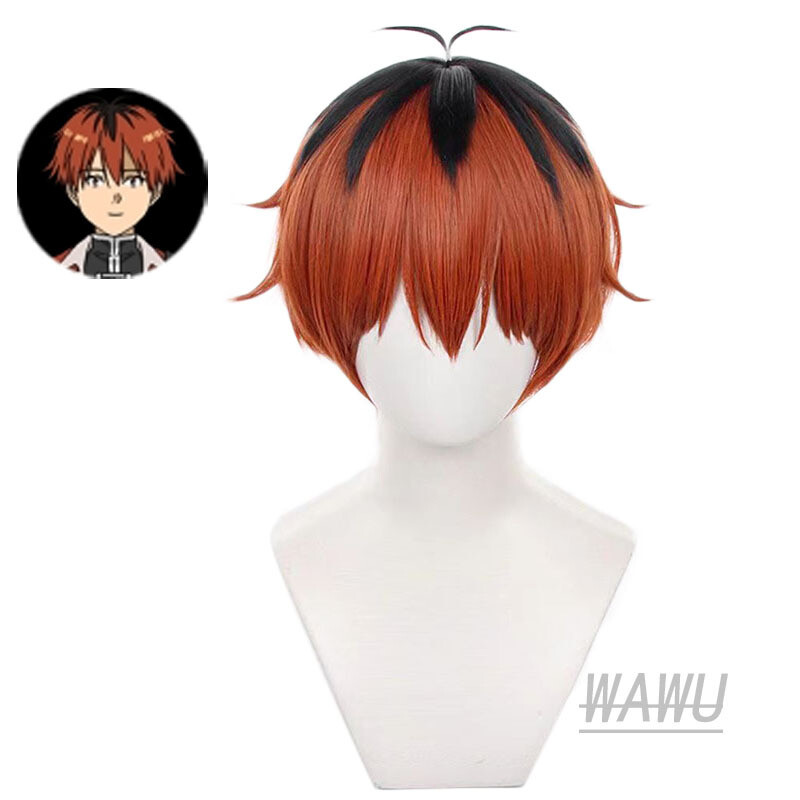 Frieren: Beyond Journey's End Short Wigs Cosplay Party Heat Resistant Hair Wig
