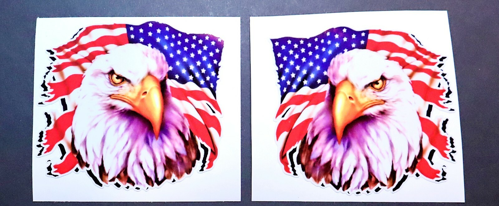 Stare of Freedom Custom Graphics Decals