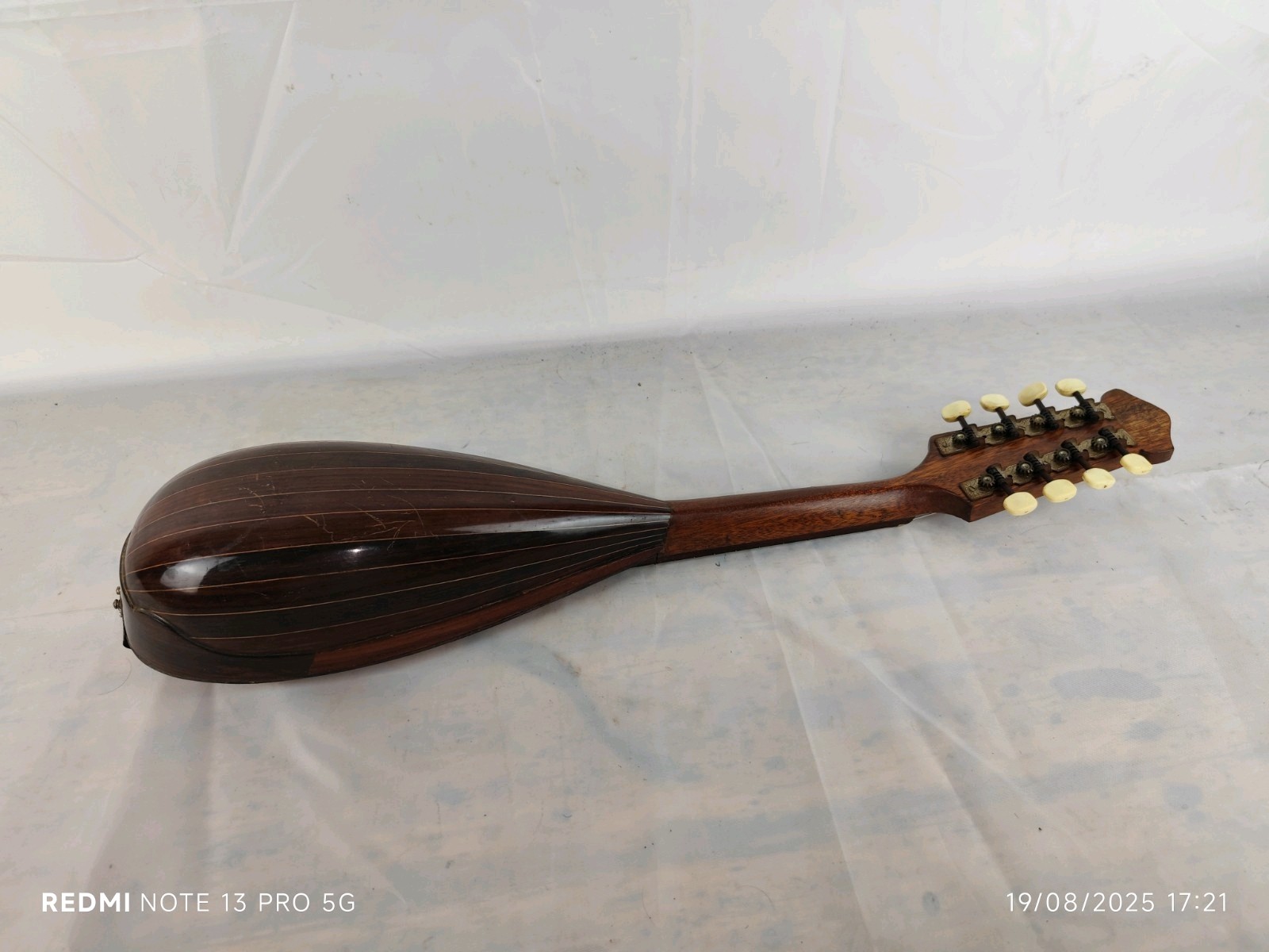 Mandolin Pocket Pocette 4/4 Edoardo Stellati 1925 曼陀林 만돌린マンドリン
