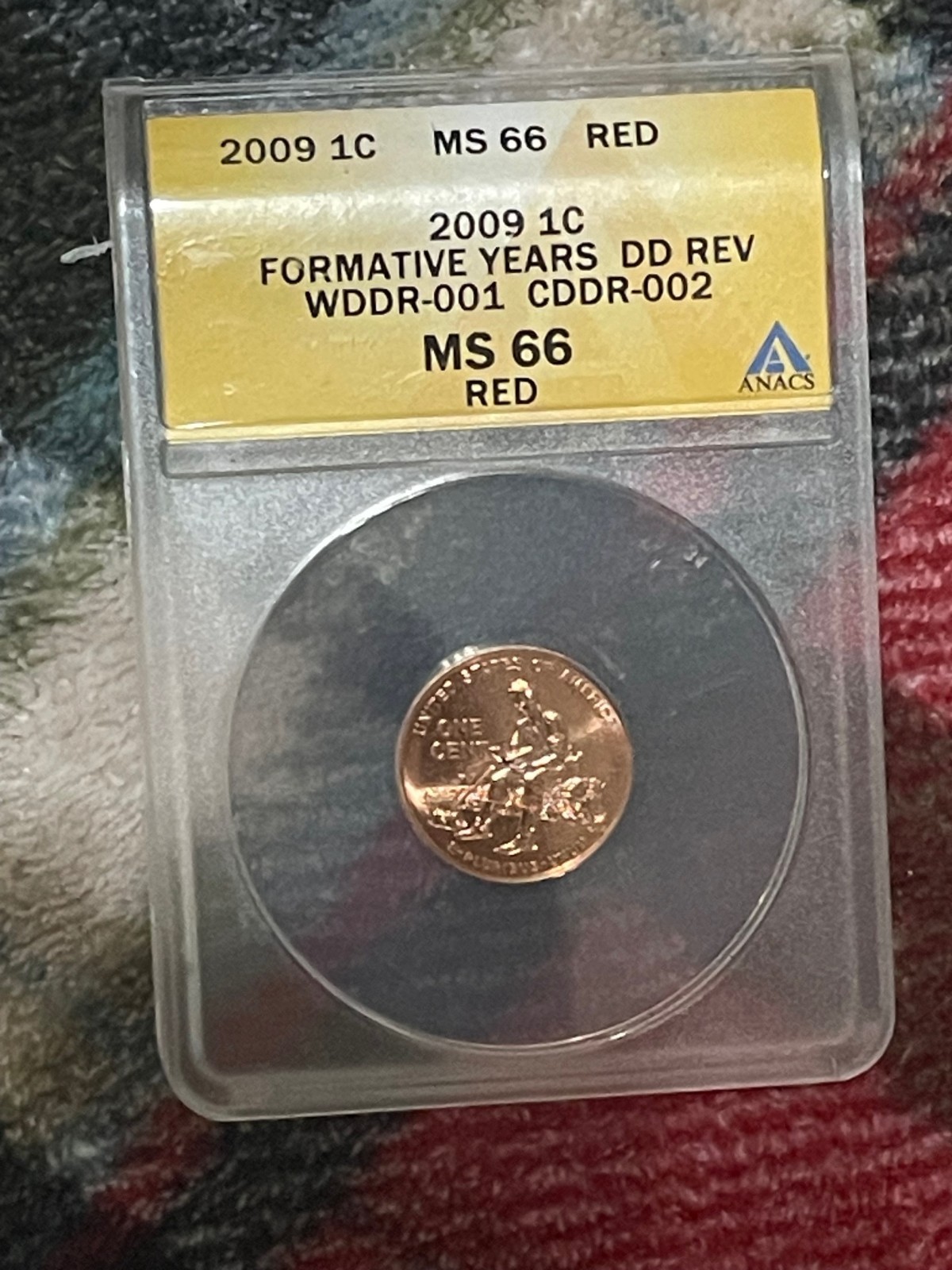 2009 ANACS MS66 RED 2009 1 c formative years wddr-001 cddr-002