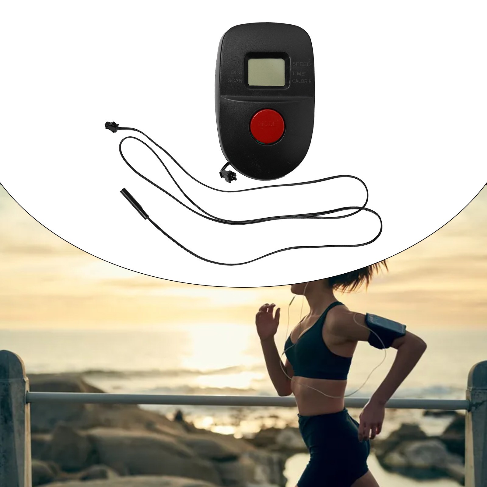 Speedometer Display For Exercise Bike Exercise Bike Walking Machine