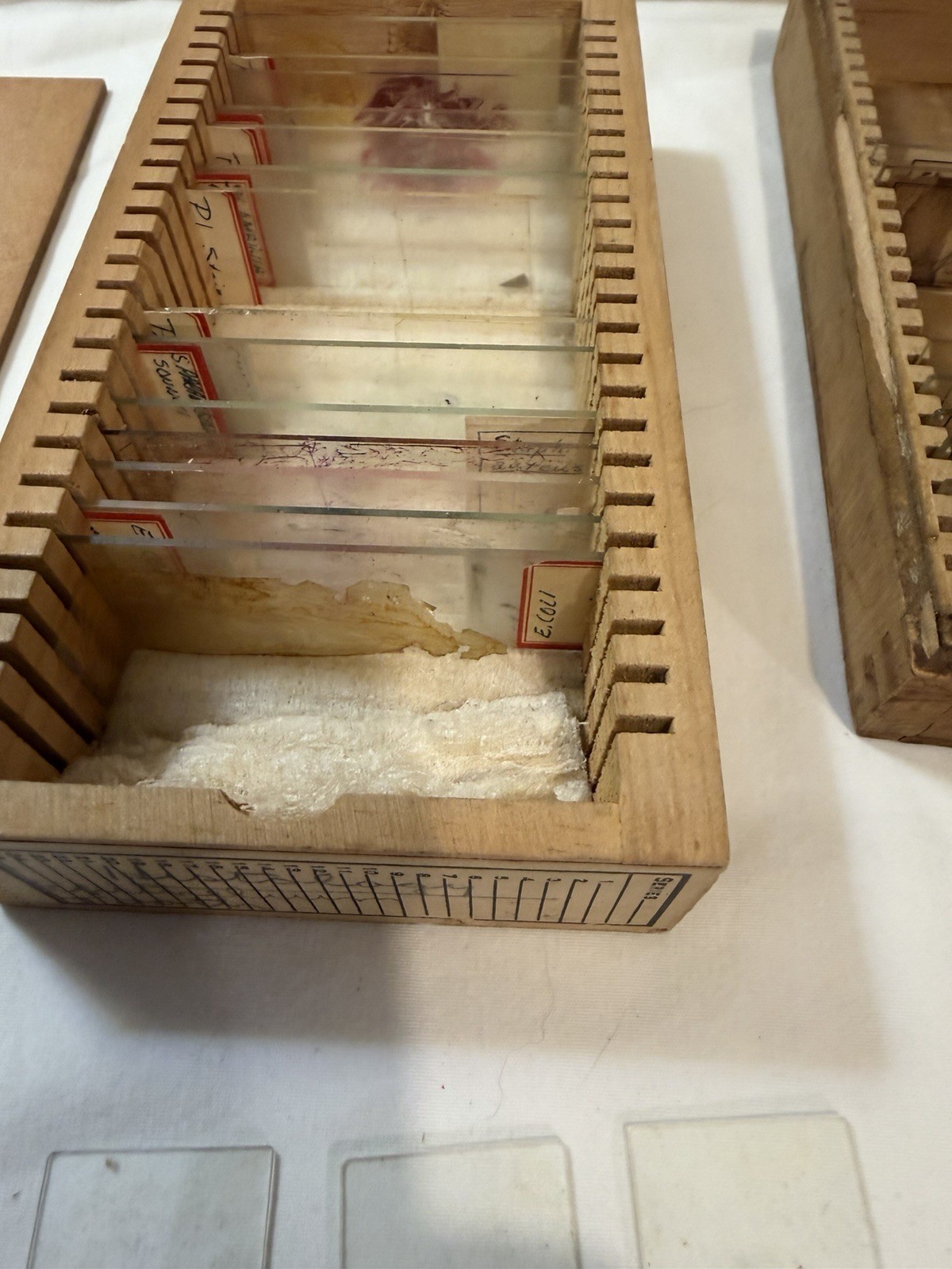 Vintage Microscope Medical Lab Slides