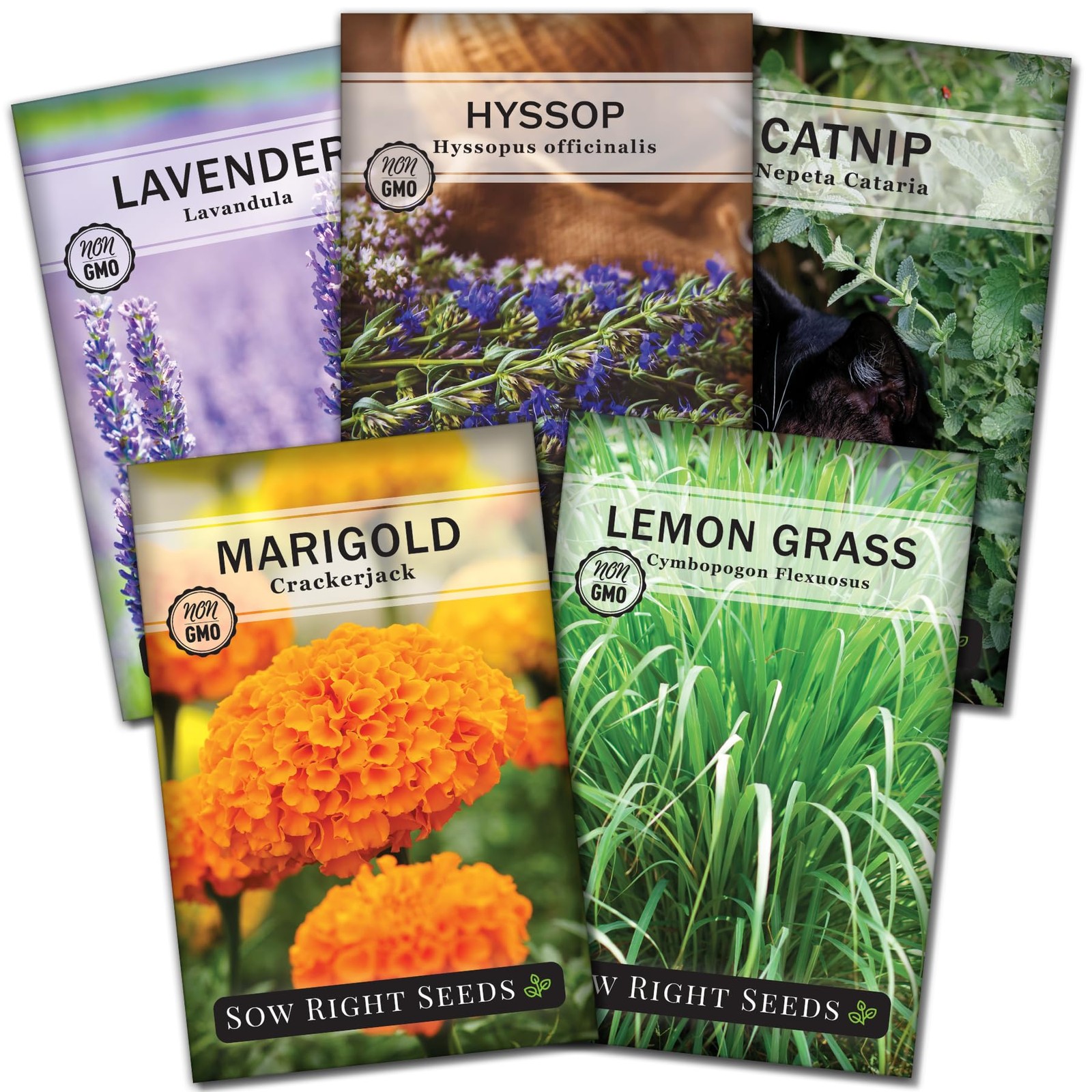 Sow Right Seeds - Insect & Pest Repellent Seed Collection for Planting - Mix