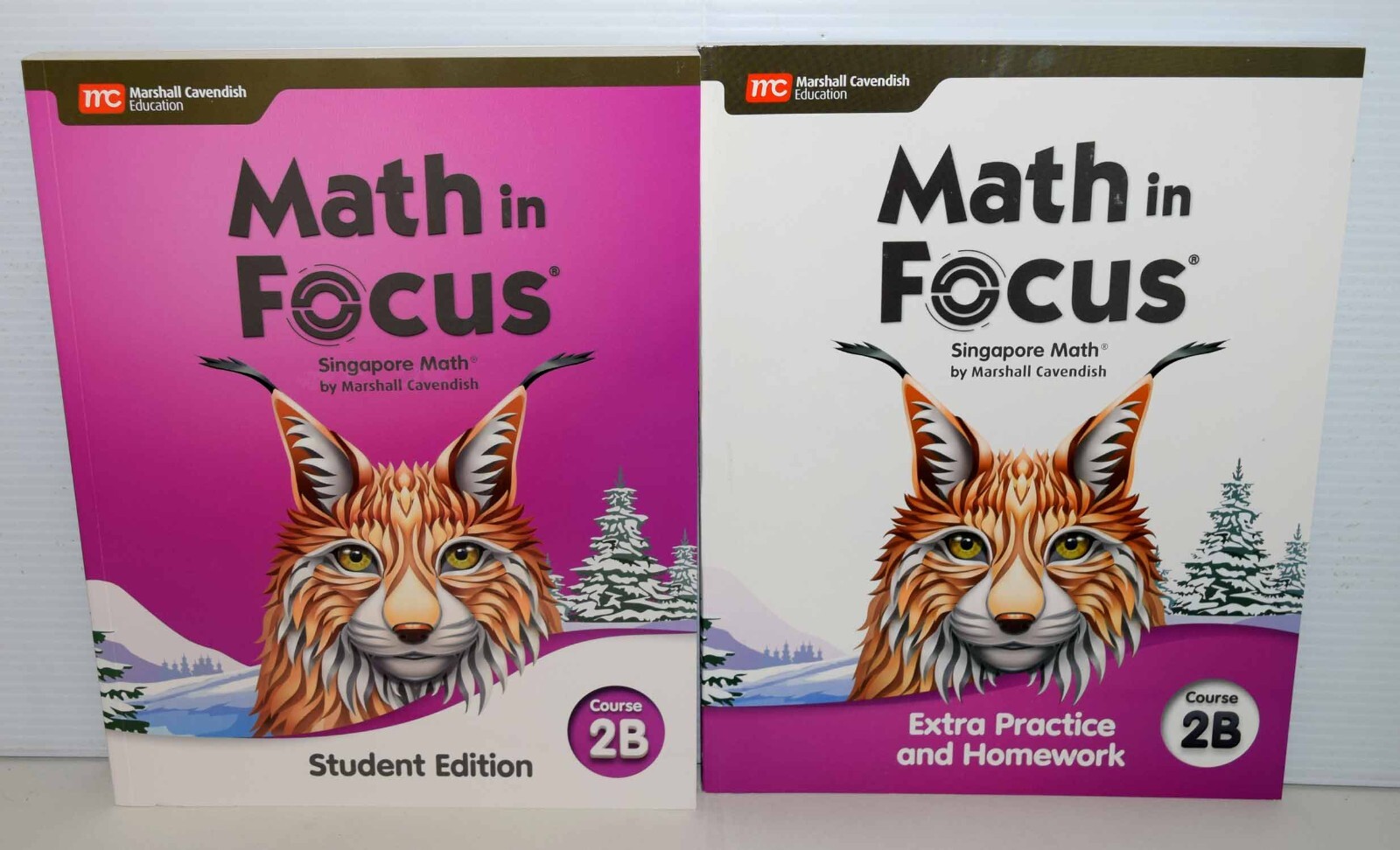 Math in Focus Course 2B Set Student Ed +Extra Practice & Homework 2020 Brand New