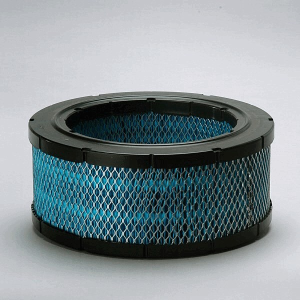 Donaldson Blue DBA5187 Air Filter, Primary