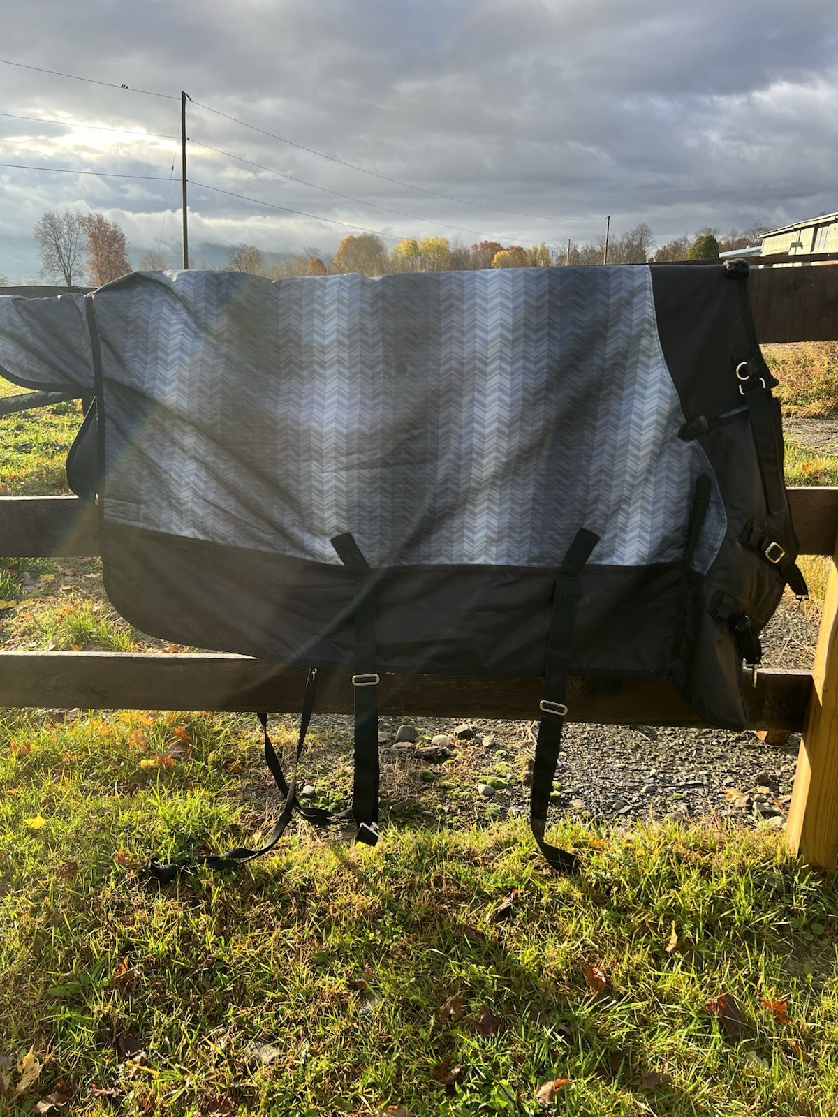 Medium Weight Tough 1 Horse Blanket Size 69" Blue