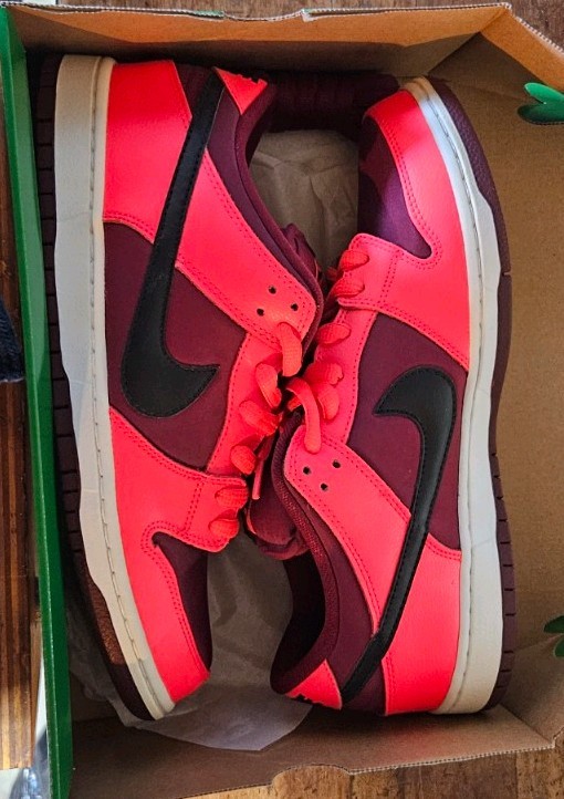 Nike SB Dunk Low Red Skateboarding Shoes Men's Medium Width US Size 9.5