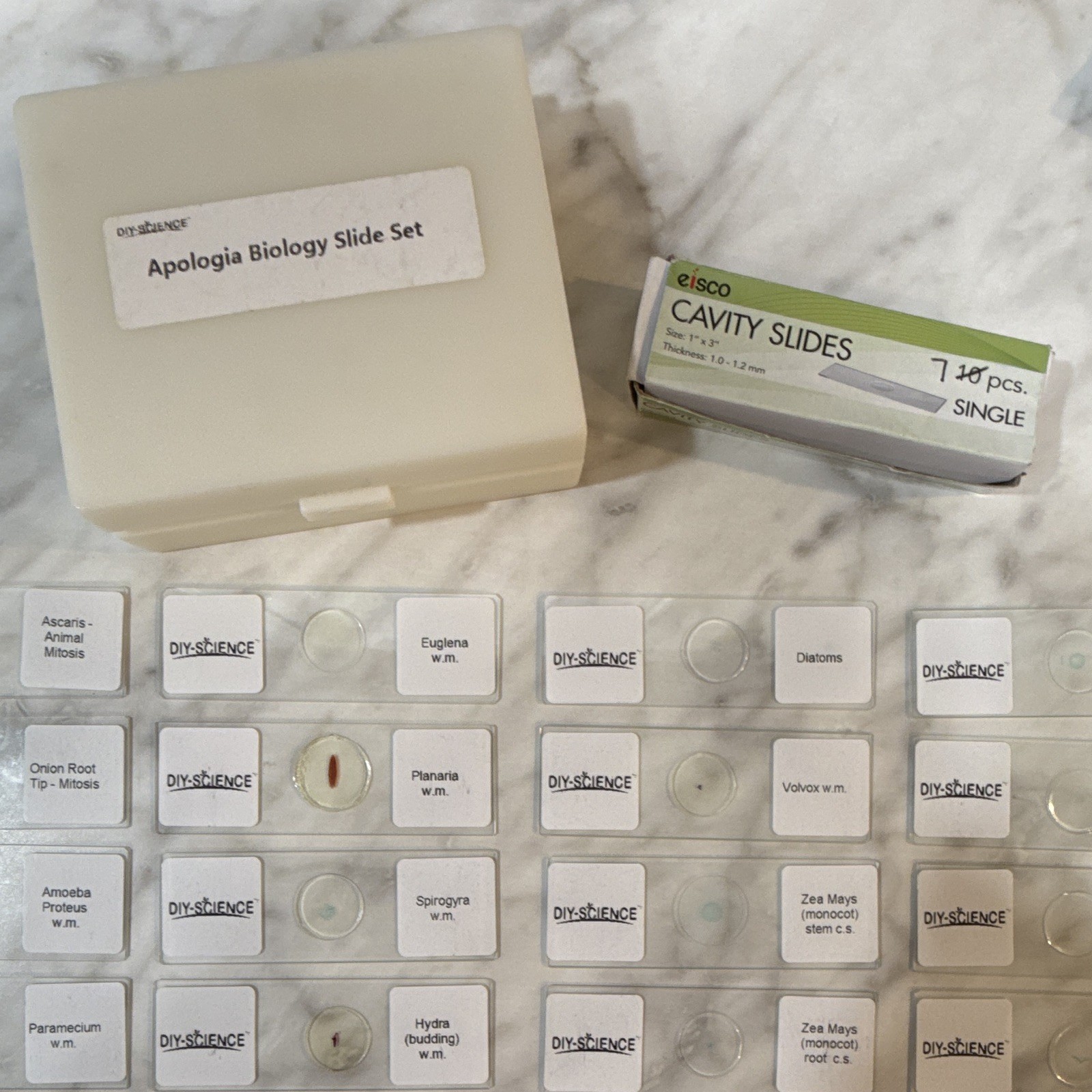 Prepared Microscope Slides Set for Apologia Biology, Pack of 16pcs Specimens ...