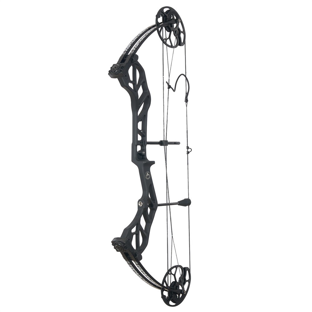 19-70lbs Compound Bow Arrows Kit Hunting Adjustable Archery Hunt Shooting Target