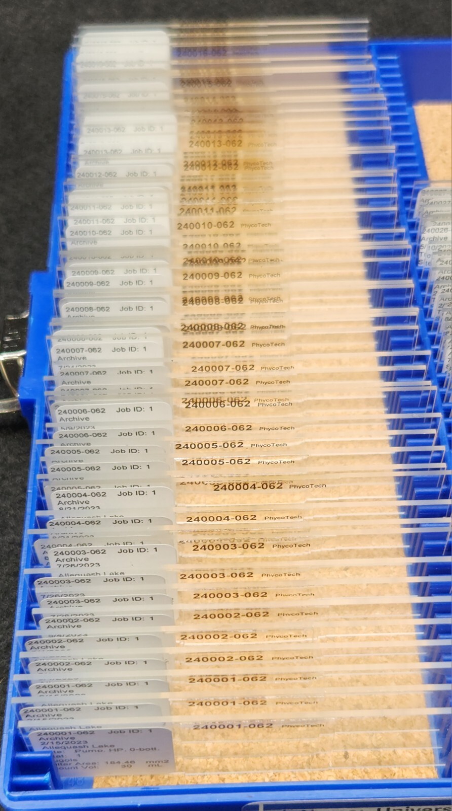 New Microscope Slides