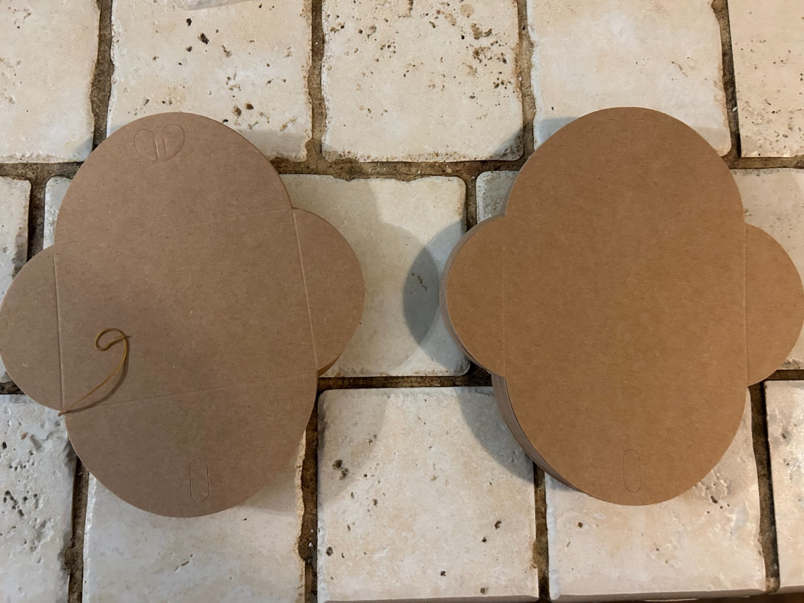 Blank Gift Card Envelopes (100 Pack)