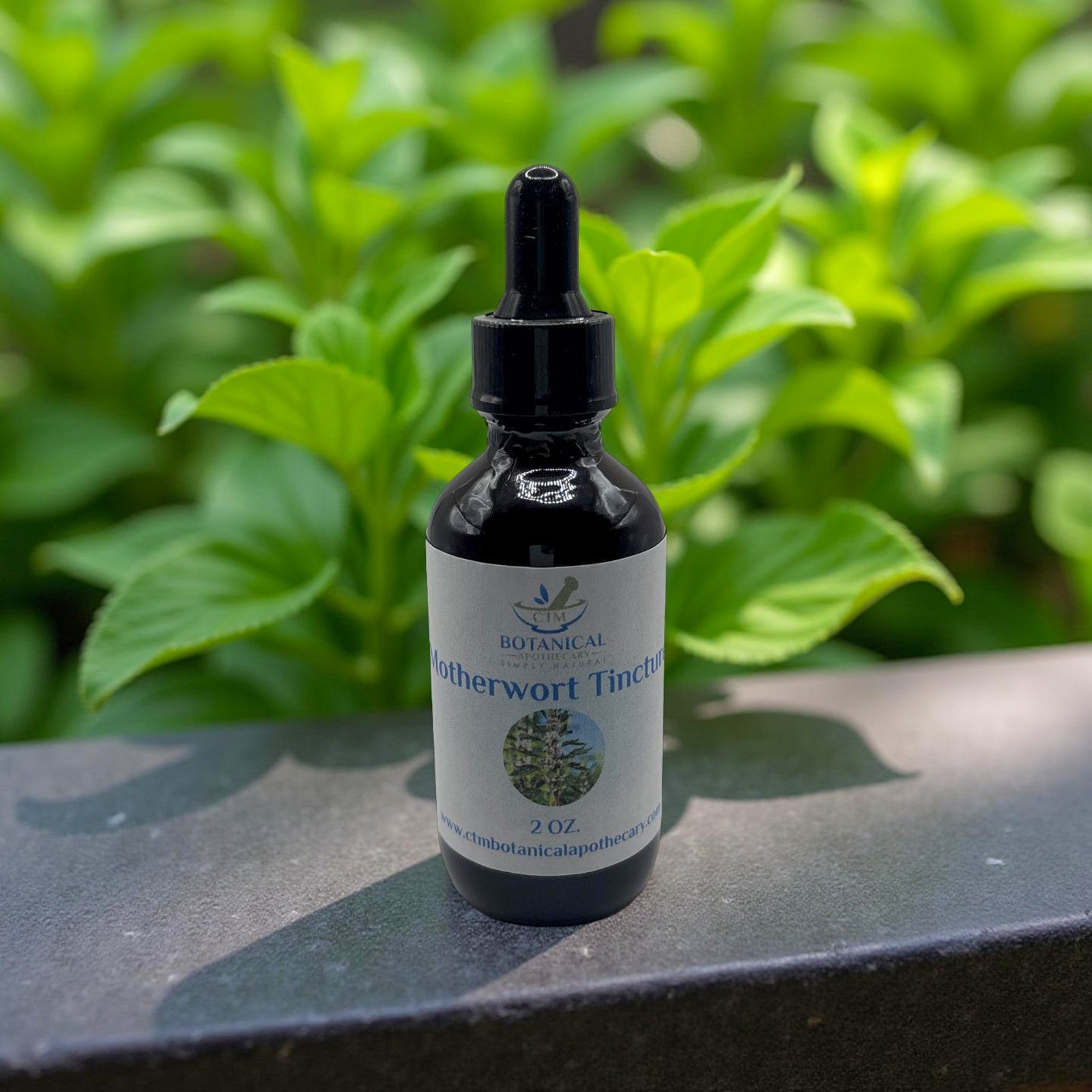 Motherwort Tincture
