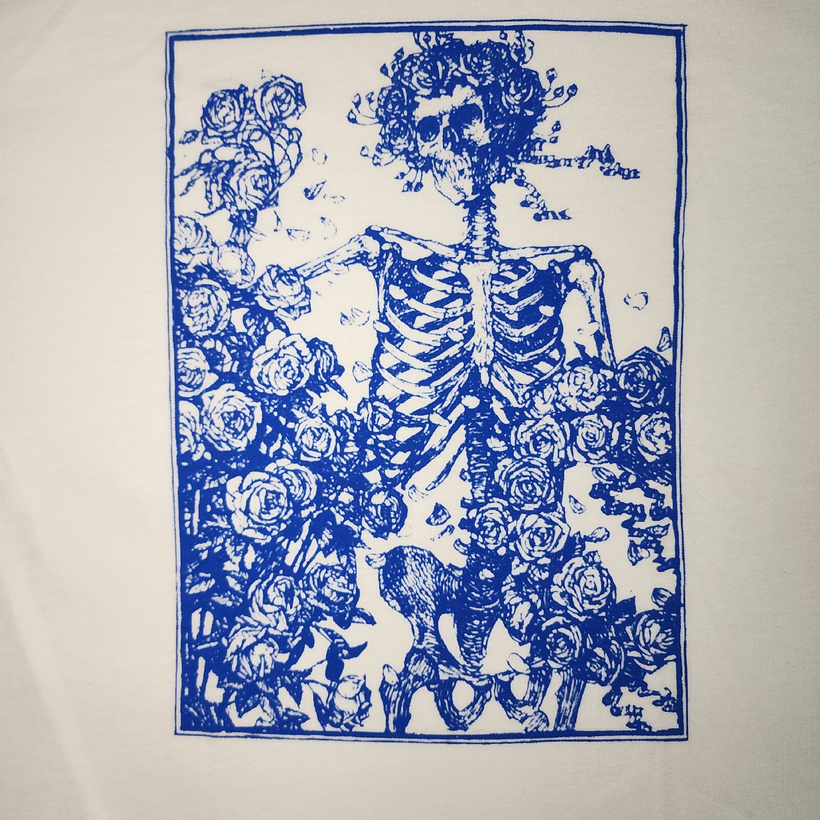Grateful Dead Bertha Skeleton Short Sleeve Tshirt Multiple Size and Colors Avail