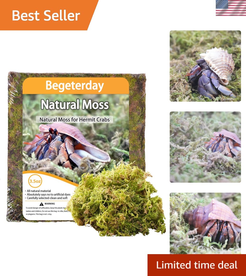 Hand-Screened 3.5oz Natural Moss for Humid Enclosures - Eco-Conscious Choice