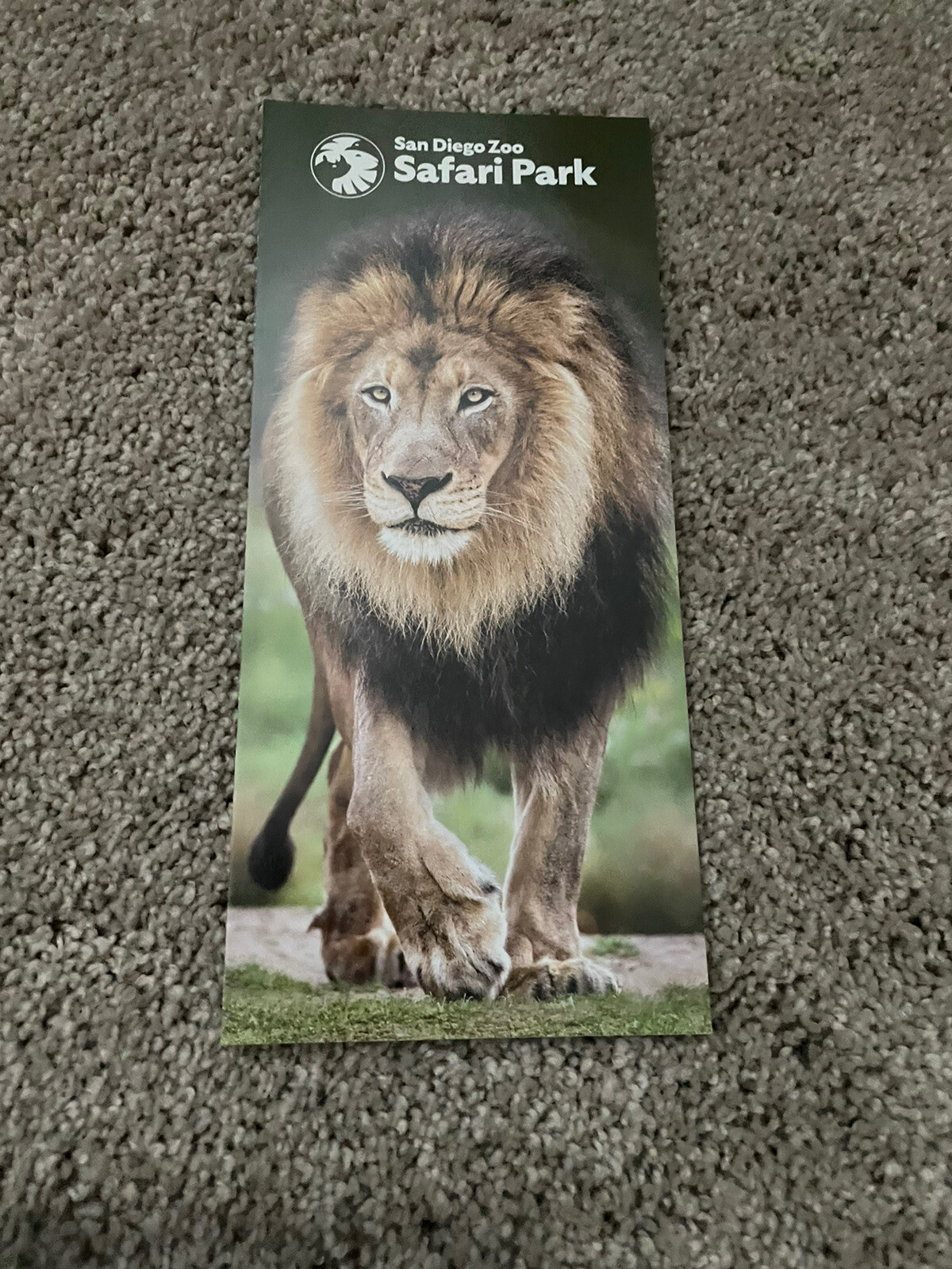 SAN DIEGO ZOO SAFARI PARK Visitors GUIDE, Informational Pamphlet Map Brochure