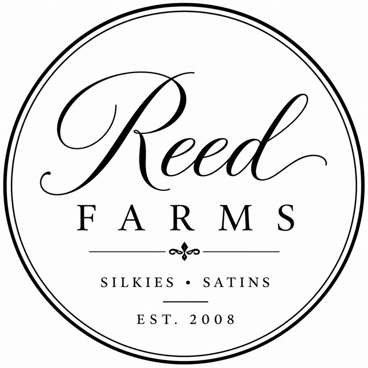 6+ Chocolate/Mauve Silkie Hatching Eggs | Fertile Eggs | Reed Farm