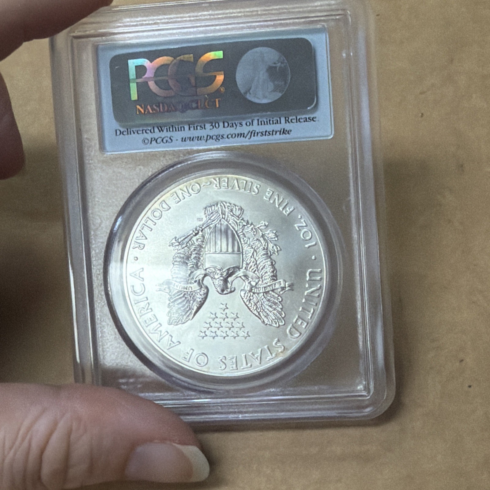 2013 (W) Silver Eagle PCGS MS69 First Strike At West Point Coins