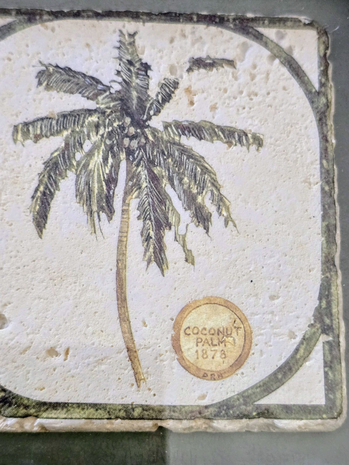 David Nichols Prime Design Cabbage Palm 1928 Coconut Palm 1878 Tile Shadow Box