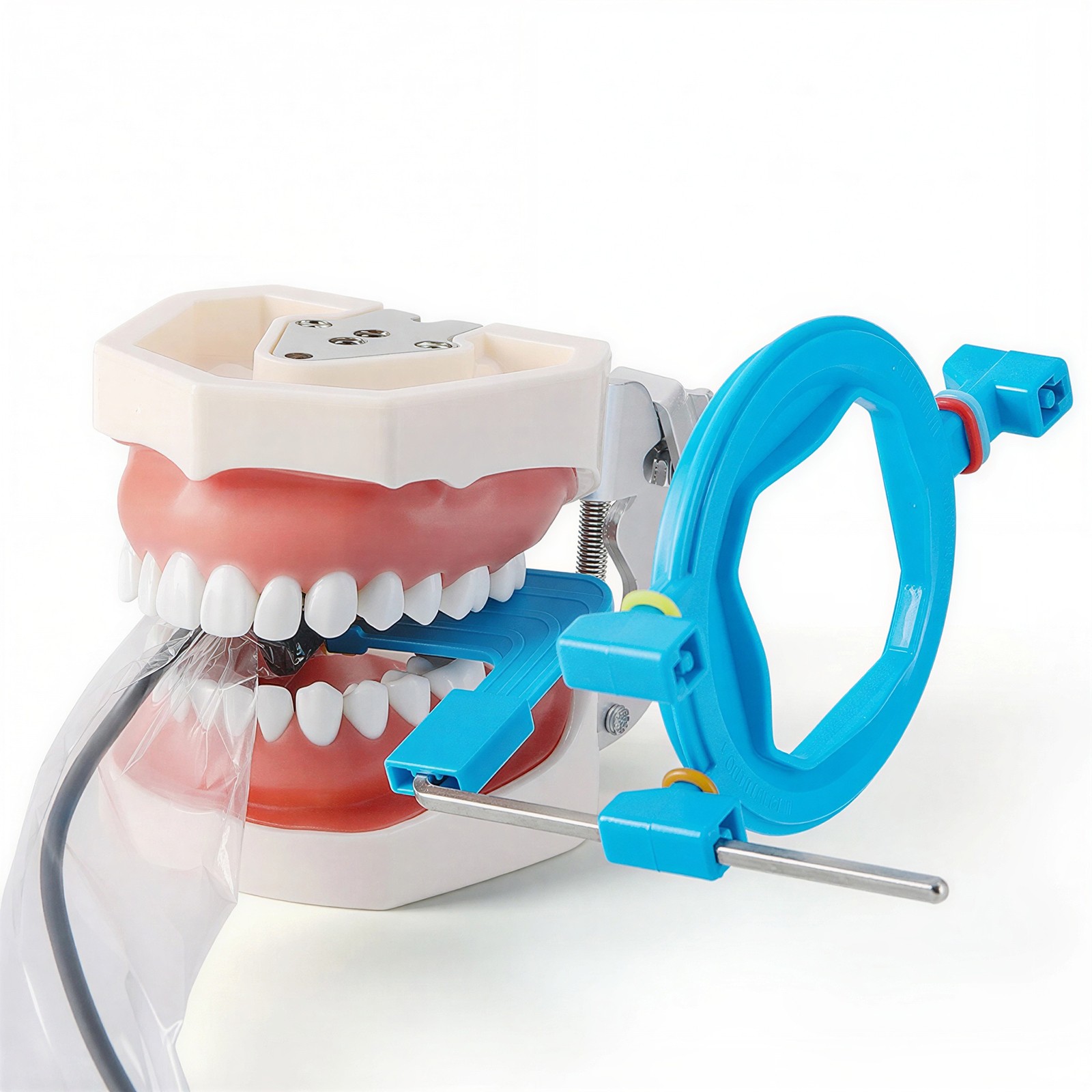 Dental X-Ray Positioner Digital Sensor Holder Sensor Positioning System ds