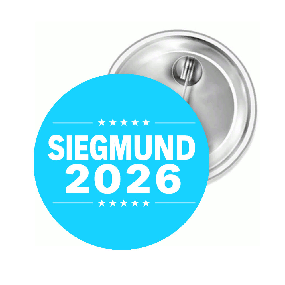 Button Siegmund 2026 Saxony Anhalt election AfD pin pin brooch