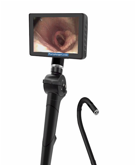 Veterinary Small Animal Portable Video Endoscope Monitor Scope 6.5mm x 100cm