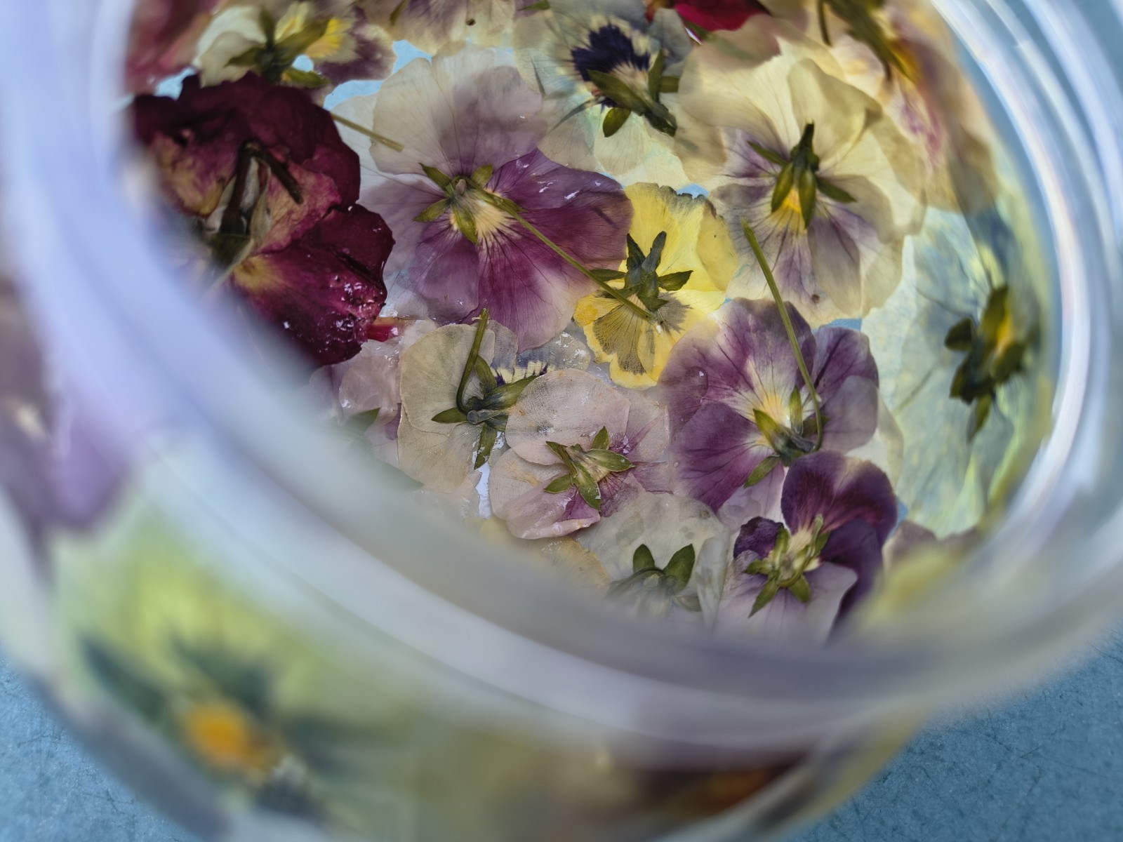 Pressed Flower Acrylic Sphere Paperweight LED Light Botanical Orb Decor