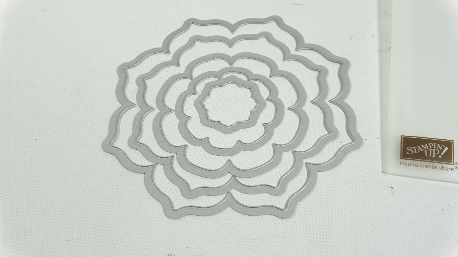 Stampin Up Sizzix Framelits Floral Frames 127012