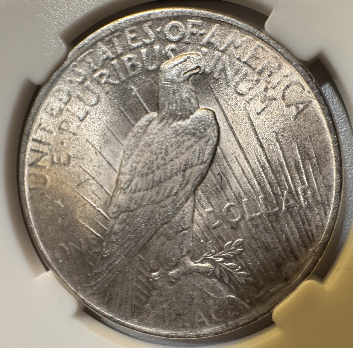 1924‑P Peace Dollar MS62–MS64 Range • Bright Luster • 26.702g