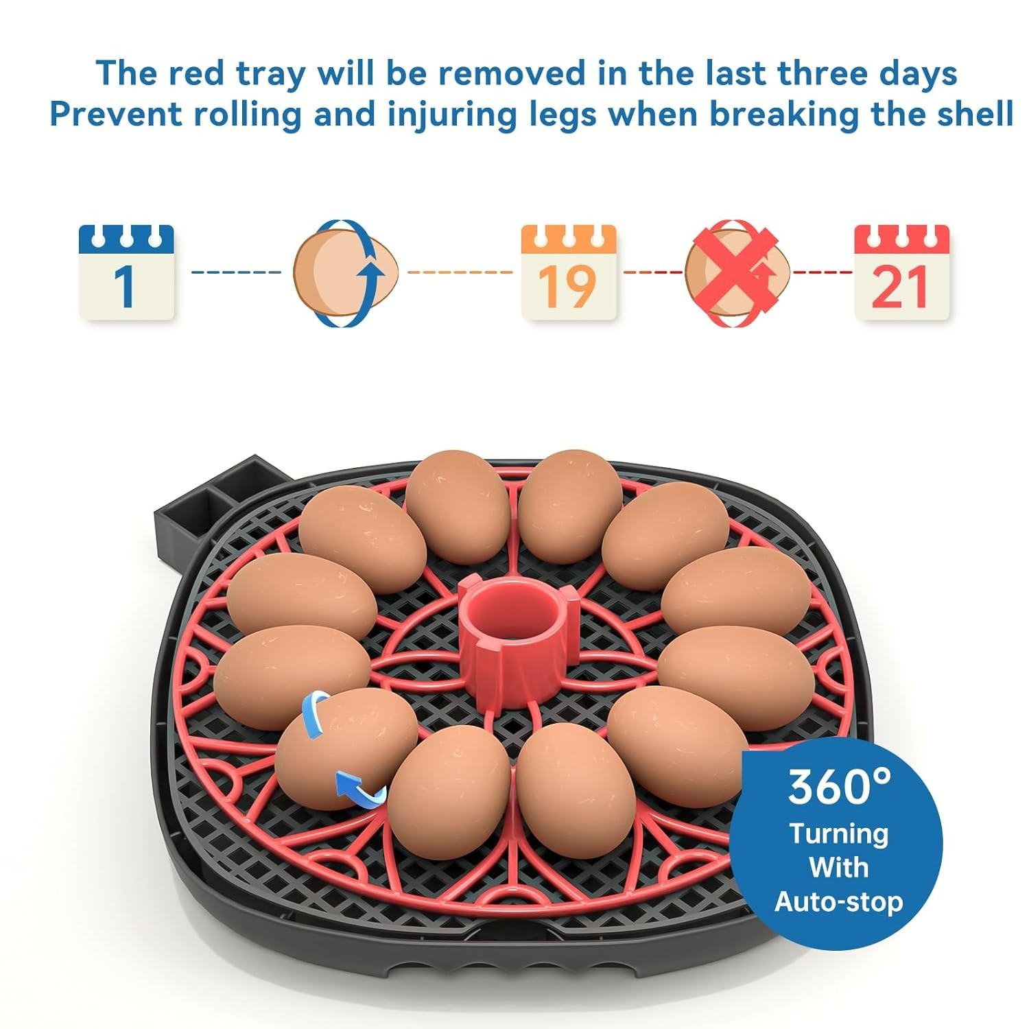 Automatica Incubadora De 12-24 Huevos Encubadora Gallina Pato Egg Incubator USA