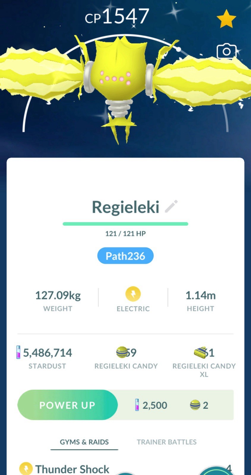 Pokemon Shiny Regieleki 30 Days Friendship Available Go