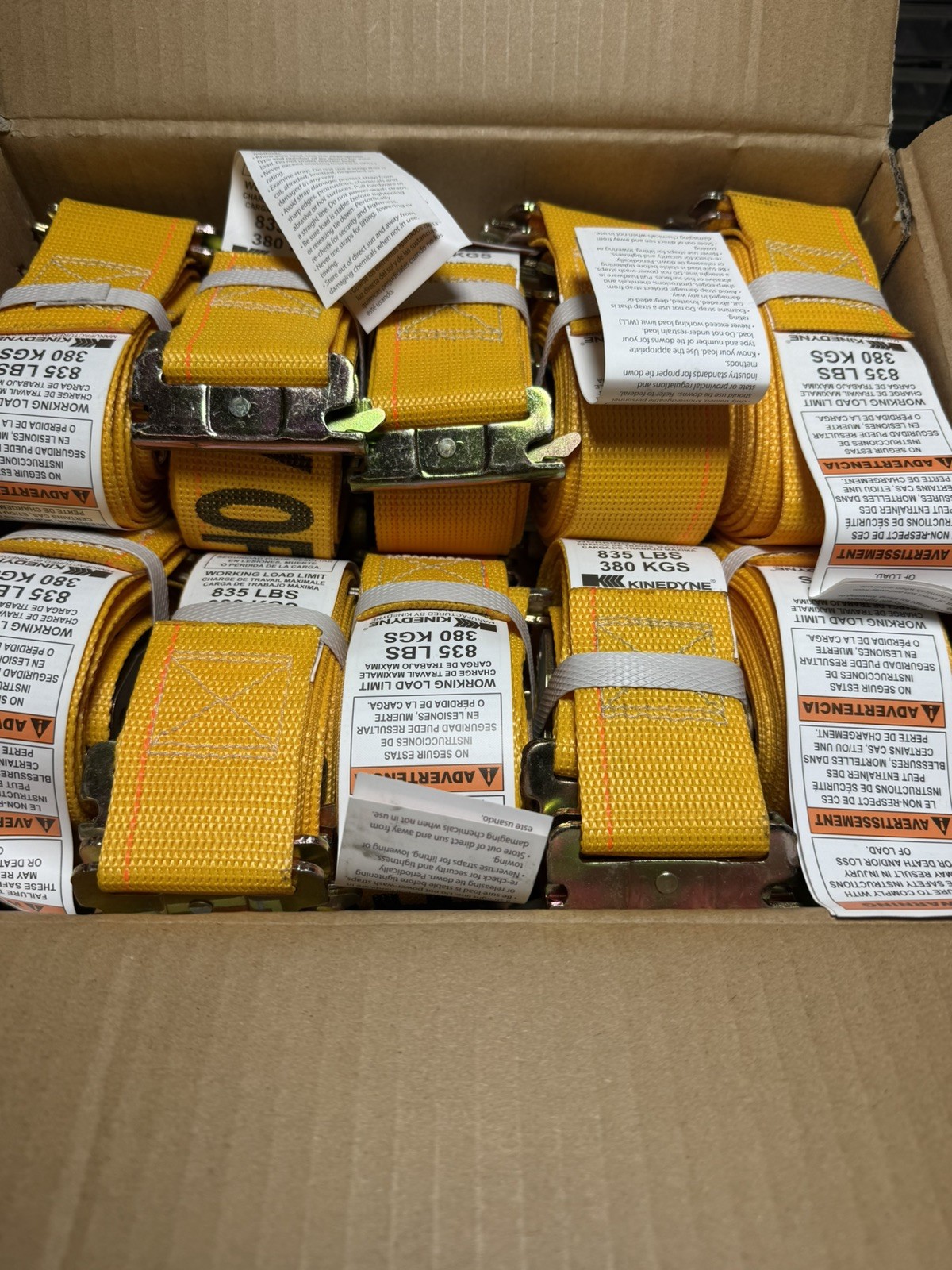 KINEDYNE 651201 2" X 12' SPRING LOADED LOGISTIC CAM BUCKLE CARGO STRAPS case 20